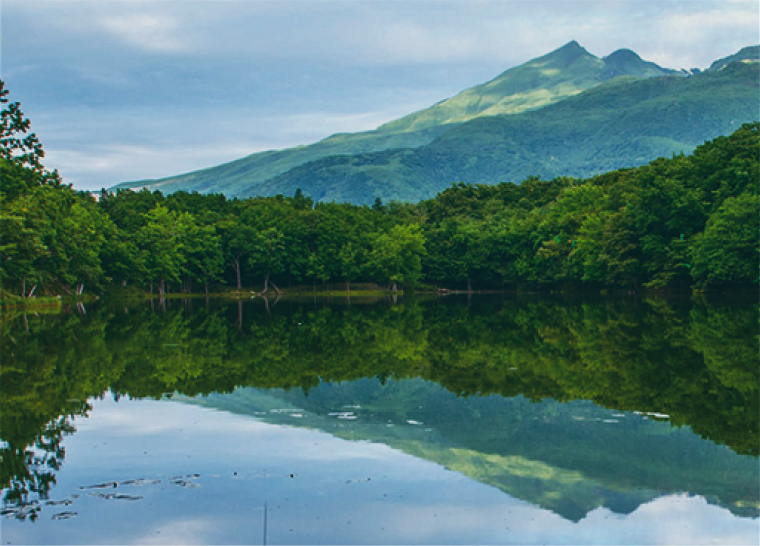 How to Enjoy Shiretoko