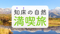 Activity and sightseeing enjoyment plan