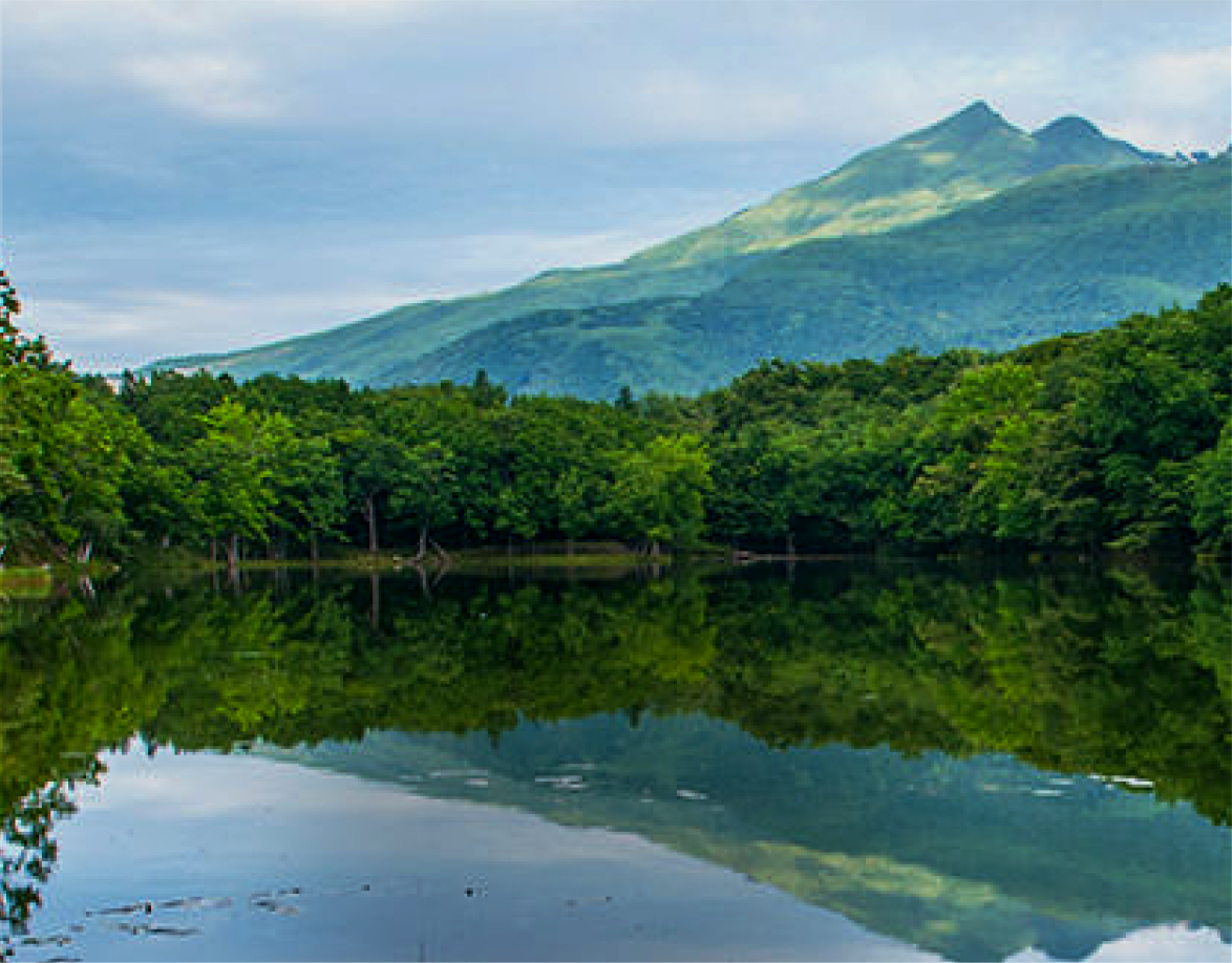 Shiretoko Dai-ichi Hotel