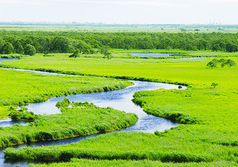 Kushiro & Lake Akan Sightseeing