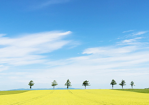 Memanbetsu Sightseeing