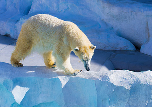 Asahikawa Sightseeing