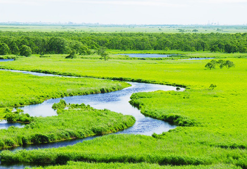 Kushiro Marshland Observatory