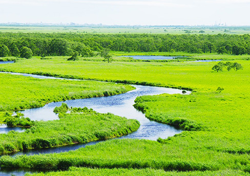 Kushiro & Lake Akan Sightseeing
