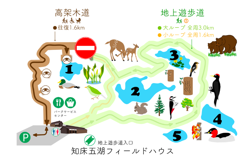 Courses of Shiretoko Goko Lakes