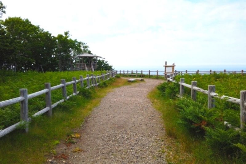 Flepe Falls promenade