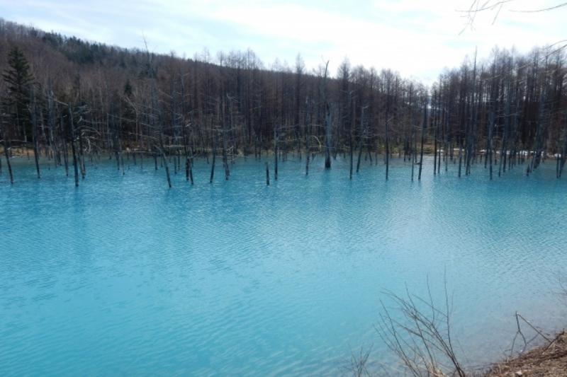 Blue Pond