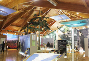 Shiretoko World Heritage Center