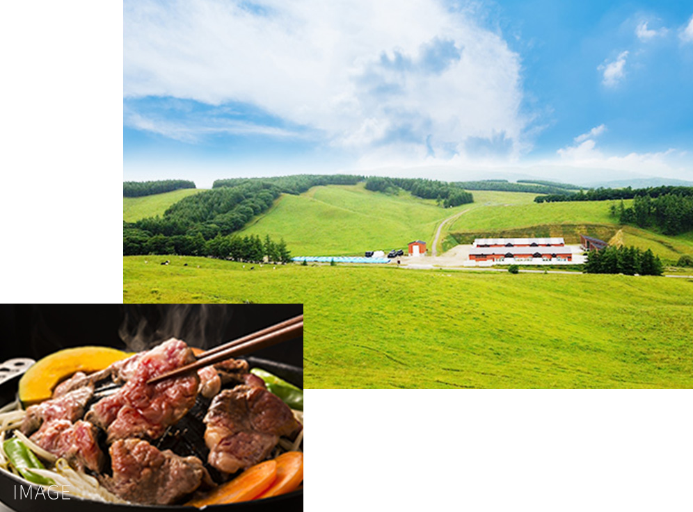 900 grassland observation deck