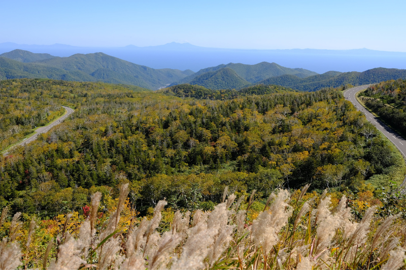 Autumn leaves at Shiretoko Pass
