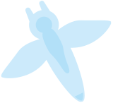 A trip to enjoy drift ice