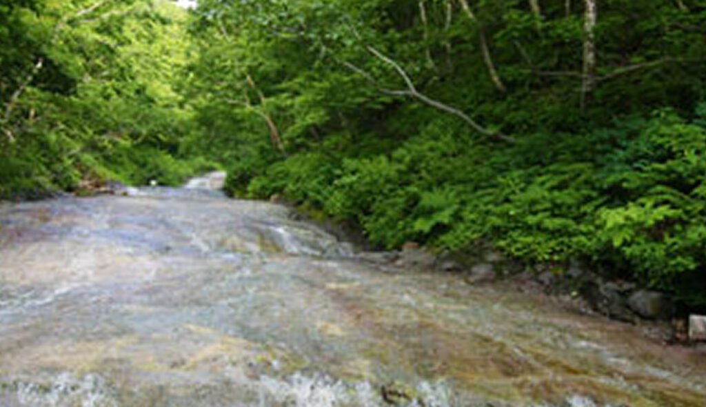 Mountain climbing and swamp climbing